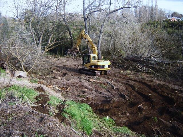 LSP- the beginning, 2008-11 Cambridge Tree Trust